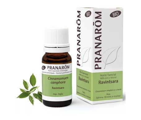 Pranarôm Aceite Esencial de Ravintsara BIO 10ml