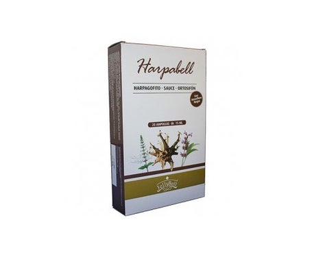 Auroshikha Conos Jardín De La Naturaleza Fragancia Sándalo 20uds