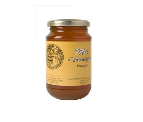Cal Valls miel de eucalipto 500g
