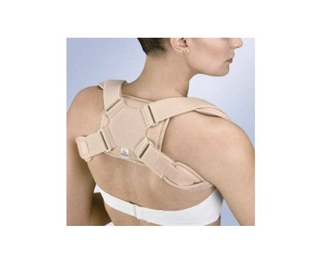 Orliman Inmovilizador Clavicula T-2 >80cm