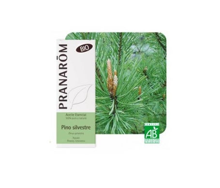 Pino Silvestre Bio 10ml Aceite Esencial