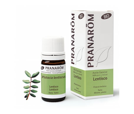 Pranarôm Aceite Esencial de Lentisco BIO 5ml