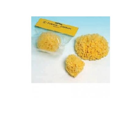 Esponja de Mar No.3 Grande