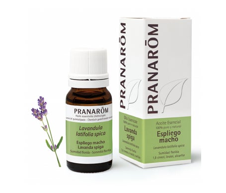 Pranarôm Aceite Esencial de Espliego Macho 10ml