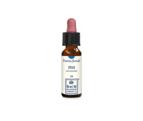 Pino Herbavita Original 10Ml Gtt de ERBA VITA | Natural Doctor
