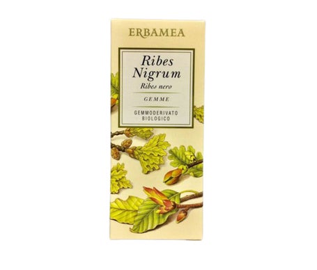 Erbamea Ribes Nigrum Gemme 50ml