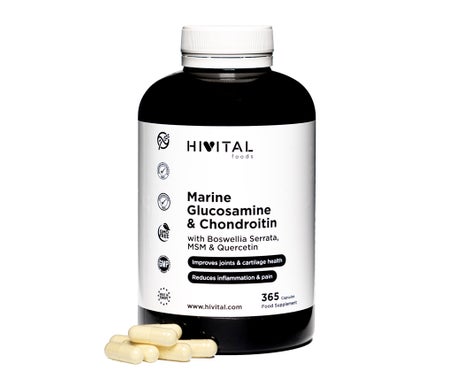 Hivital Foods Glucosamina con Condroitina 365cáps