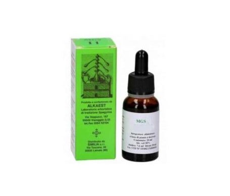 Alkaest Mgs9 Castaño de Indias Glicerina Macerada 20ml | Natural Doctor