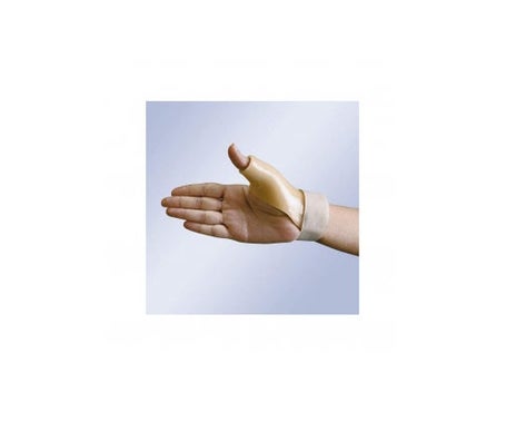 Anota Ferula Post Pulg Fp-71 Izq Md