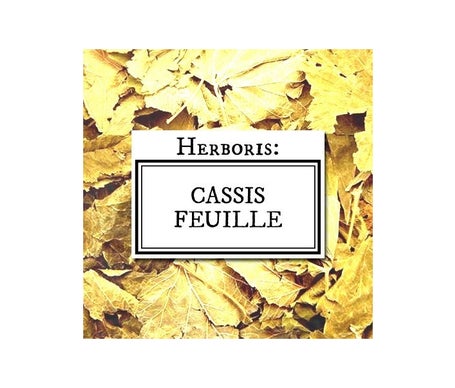 ADP Cassis Feuilles Sachet Cellophan 100g | Natural Doctor