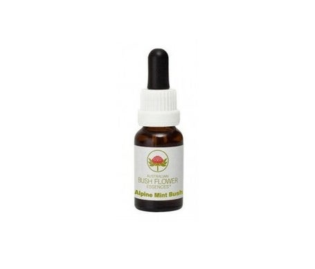 Fleurs de Vie Fleur de Bush Alpine Mint Bush 15ml