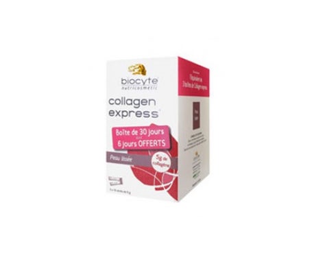 Biozyte Collagen Express Faltenfüller 30 Sticks à 6g