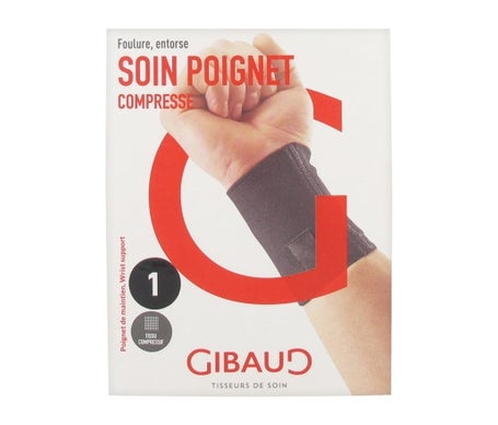 Gibaud Poign Conseil 5033 T1