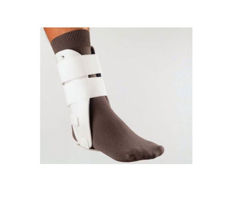 Ligacast Anatomía Tobillo Recto T