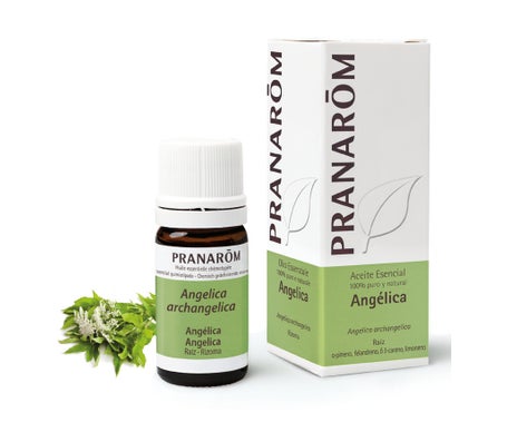 Pranarôm Aceite Esencial de Angélica 5ml | Natural Doctor