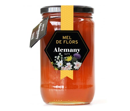 Alemany Miel Poliflora 980g | Natural Doctor