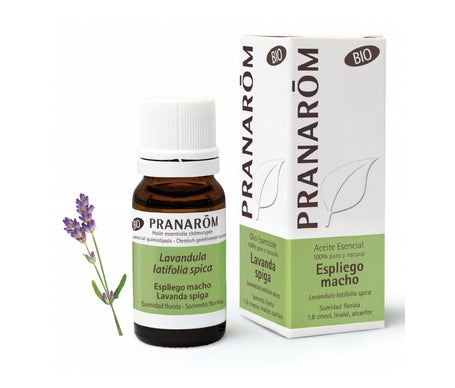 Comprar en oferta Pranarôm Bio Essential Oil Lavandula latifolia (10 ml)