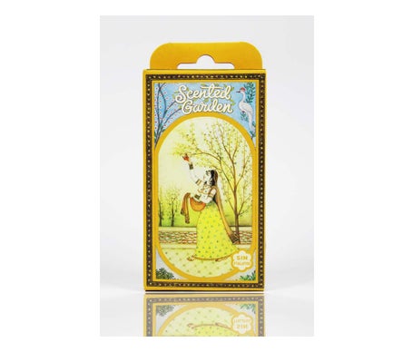 Radhe Shyam Incienso Scented Garden Rosa Cono 12uds