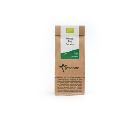 Josenea Melisa Tila Canela BIO 10 pirámides