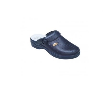sabot scholl