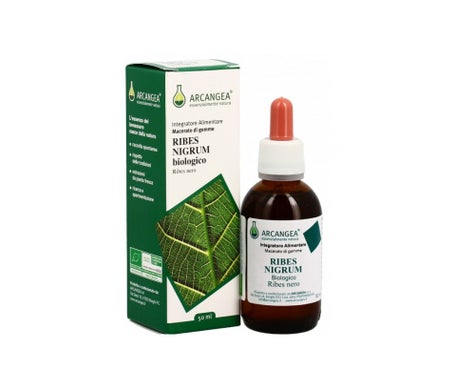 Arcangea Grosella Negra Macerado Brotes 100ml | Natural Doctor