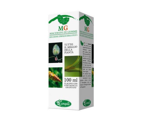 Sangalli Tilo Macerado Glicerinado 100 ml | Natural Doctor