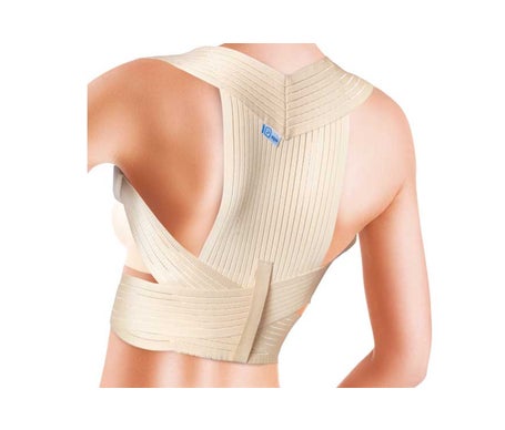 Prim Espaldillera Confort 335 T L 1ud