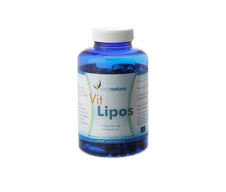 Infutisa Ginkgo Biloba 25 sobres | Natural Doctor
