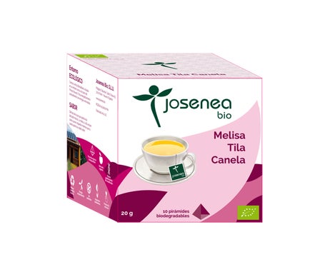 Josenea Melisa Tila Canela BIO 10 pirámides en sobre