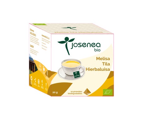 Josenea Melisa Tila Hierbaluisa BIO 10 pirámides en sobre