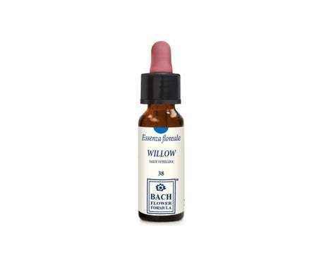 Herbavita Willow Original 10Ml Gtt de ERBA VITA | Natural Doctor