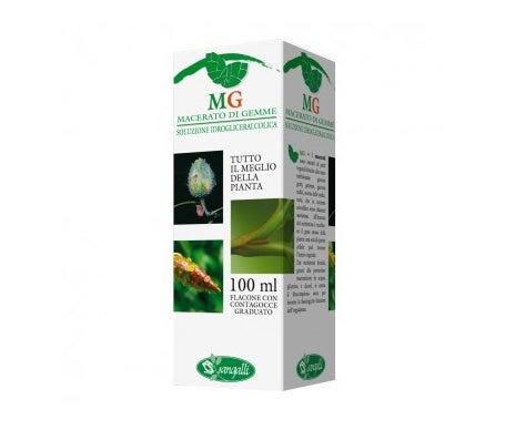 Sangalli Centella Partes Aéreas Tintura Madre 100 ml | Natural Doctor