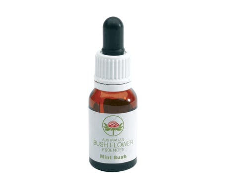 Australian Bush Flower Menthe Bush Fleurs Australiennes 15ml