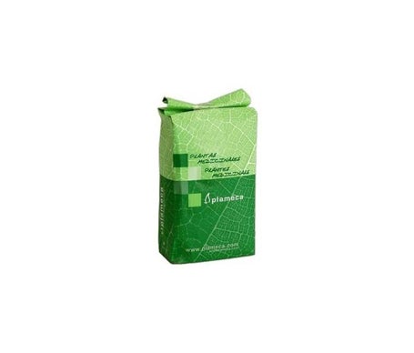 Plameca Cardo Mariano Semillas 1Kg