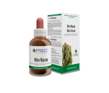 Psc Currant Nigrum Gotas 15 ml de Forza Vitale | Natural Doctor