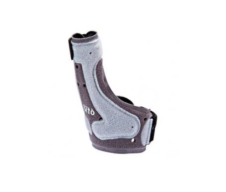 Cizeta Orto Atl Seamless Seamless Inch T2