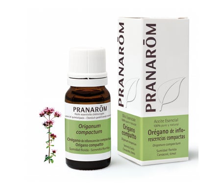 Pranarôm Aceite Esencial de Orégano de Inflorescencias Compactas 10ml