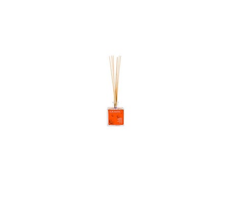 Eco Happy Canela Naranja Ambientador Mikado 95ml | Natural Doctor