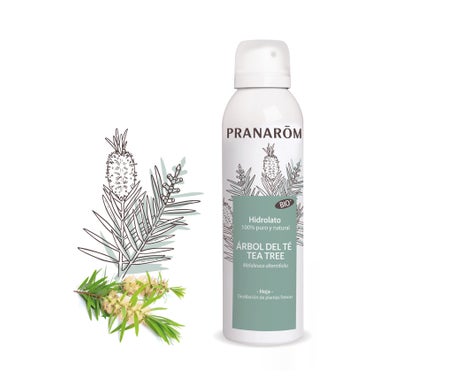 Pranarôm Hidrolato Árbol de Té BIO Spray 150ml