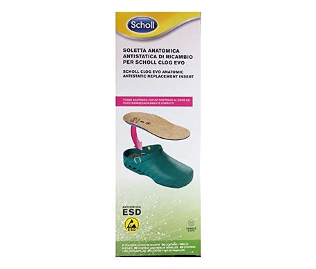 Scholl Clog Evo Evo Anat Ant Ins Mic45-46