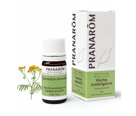 Pranarôm Aceite Esencial de Hierba Lombriguera 5ml