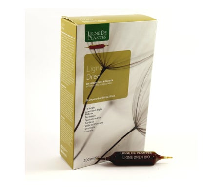 Ligne de Plantes Ligne Dren Bio 20x15ml | Natural Doctor