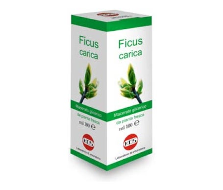 Kos Gotas de Macerado Glicérico de Ficus Carica 100ml