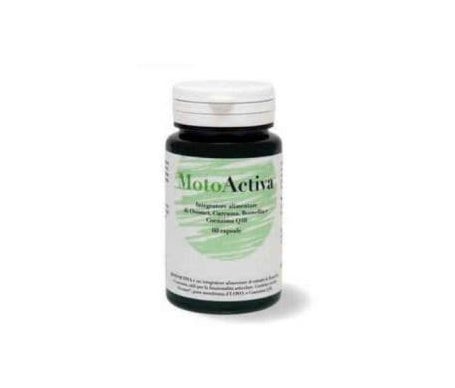 Studio 3 Farma Motoactiva 60 caps de STUDIO 3 FARMA SRL | Natural Doctor