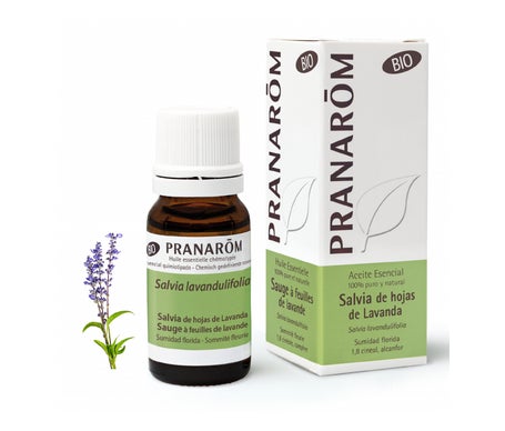 Pranarôm Aceite Esencial de Salvia de Hojas de Lavanda BIO 10ml