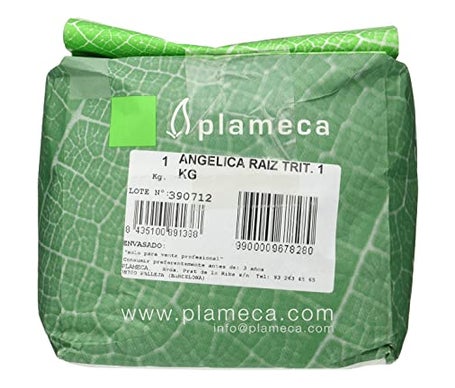 Plameca Angéica Hierba Raíz Trituradas 1Kg
