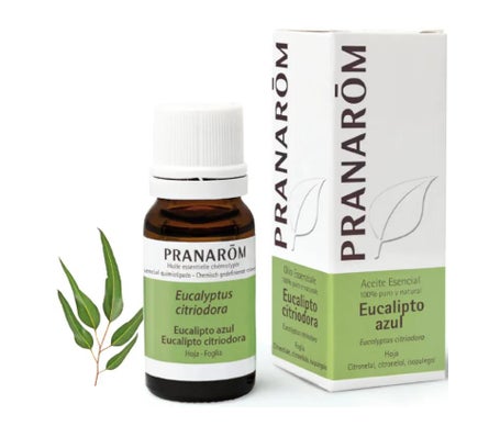 Pranarôm Aceite Esencial de Eucalipto Azul 10ml