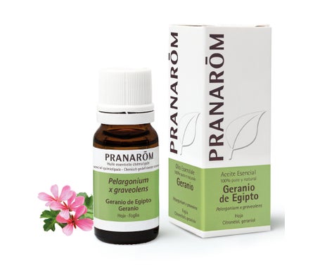 Pranarôm Aceite Esencial de Geranio de Egipto 10ml