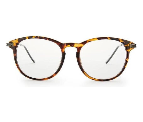 Nordic Vision Gafas Nassjo 2.00 1ud