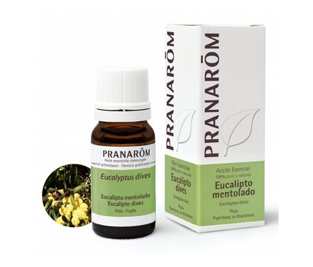 Pranarôm Aceite Esencial de Eucalipto Mentolado 5ml